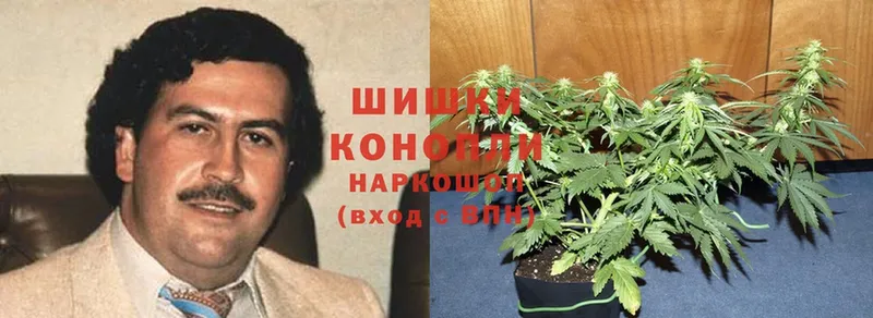 Бошки Шишки SATIVA & INDICA  где найти   Арсеньев 